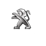 Home 6 Serviço especializado automotivo para Peugeot Araraquara